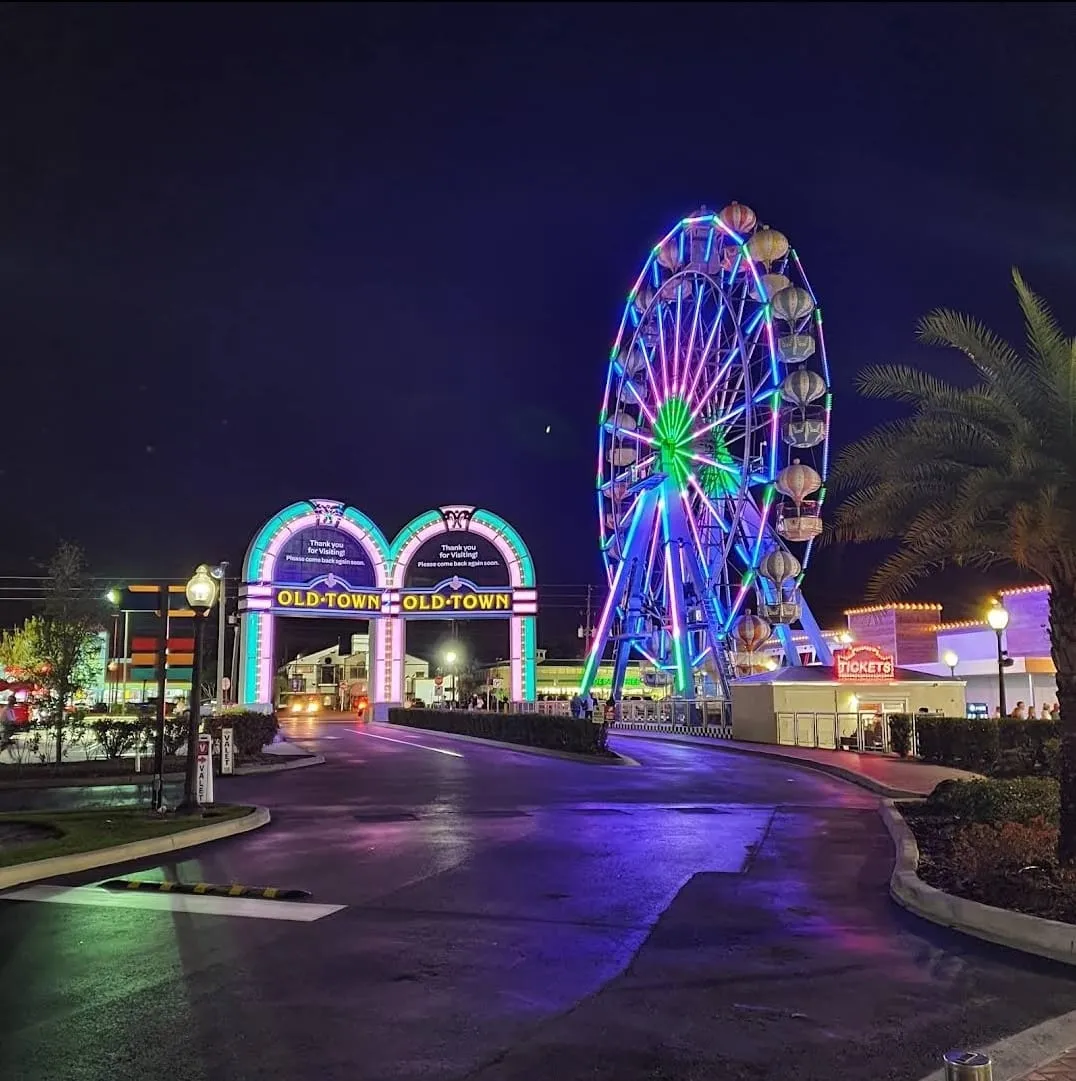 Ferris Wheel Ticket + Meal/Drink Voucher